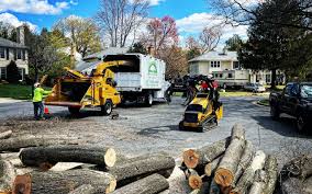 Best Hedge Trimming  in Vineyard Haven, MA